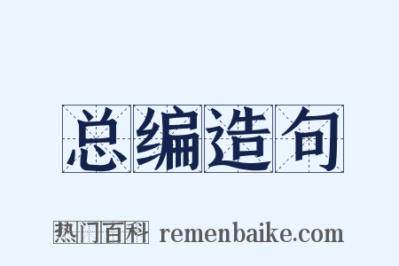 总编造句是什么意思的图片